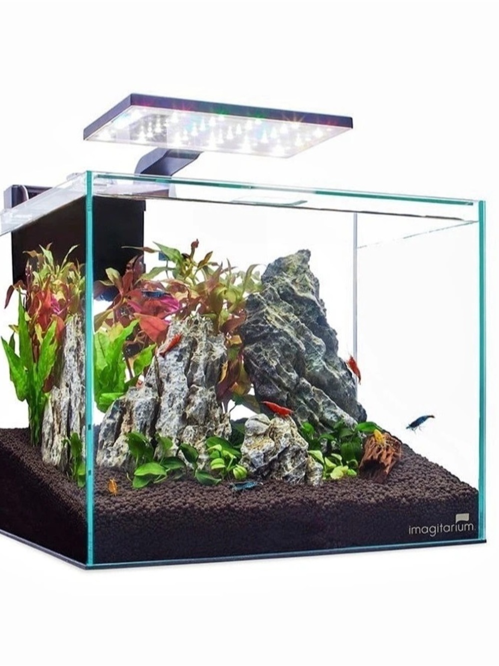 Imagitarium 5 Gallon Aquarium